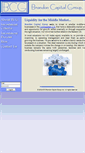 Mobile Screenshot of brandoncapital.com